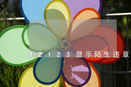 12123显示陌生违章罚款逾期 12123显示陌生违章罚款逾期