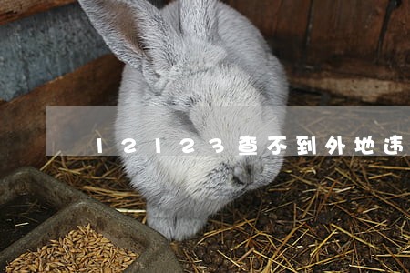 12123查不到外地违法记录 12123查不到外地违法记录
