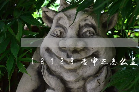 12123查审车怎么显示逾期 12123查审车怎么显示逾期