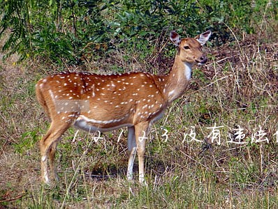 12123没有违法信息