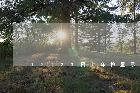12123网上年检显示逾期 12123网上年检显示逾期