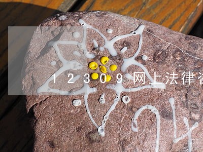 12309网上法律咨询 12309网上法律咨询