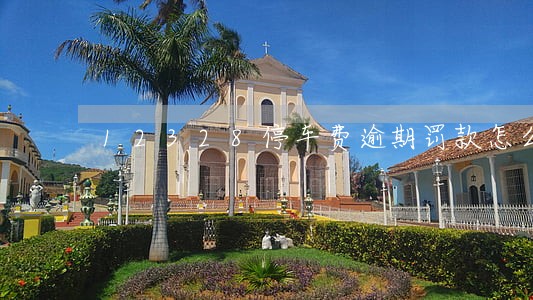 12328停车费逾期罚款怎么交 12328停车费逾期罚款怎么交