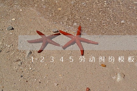 12345劳动纠纷模板 12345劳动纠纷模板