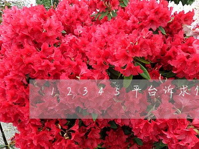 12345平台诉求件逾期