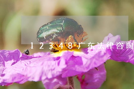 12348广东法律咨询