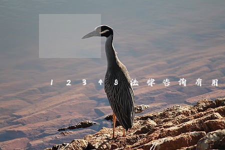 12348法律咨询有用 12348法律咨询有用