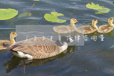 12348法律咨询量 12348法律咨询量