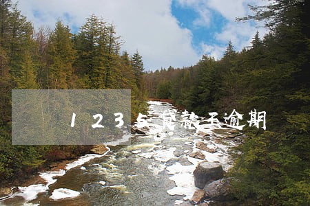 1235贷款王逾期