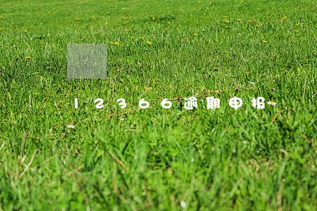 12366逾期申报 12366逾期申报