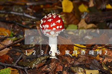 12368案件查询网2019 12368案件查询网2019