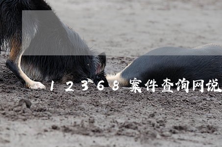 12368案件查询网说 12368案件查询网说