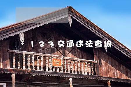 123交通违法查询 123交通违法查询