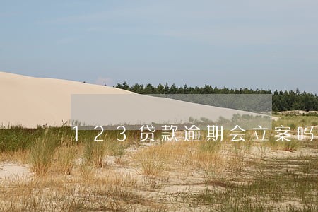 123贷款逾期会立案吗 123贷款逾期会立案吗