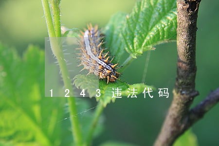 1243违法代码 1243违法代码
