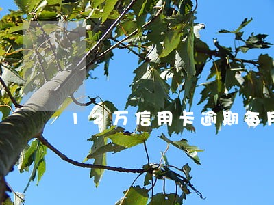 12万信用卡逾期每月费用多少