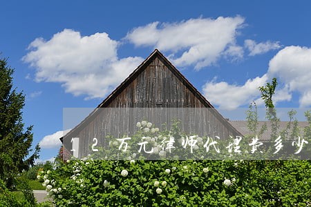 12万元律师代理费多少
