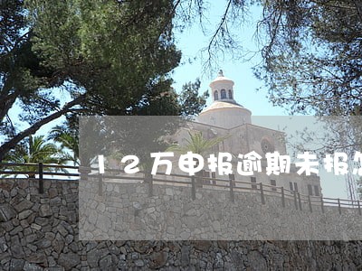 12万申报逾期未报怎么办 12万申报逾期未报怎么办