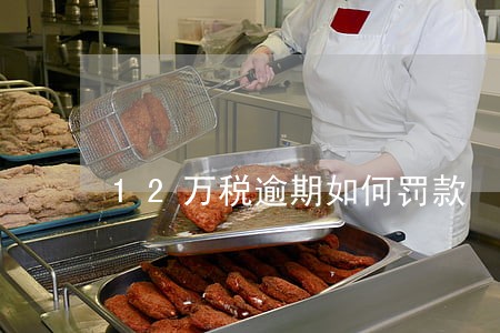 12万税逾期如何罚款 12万税逾期如何罚款