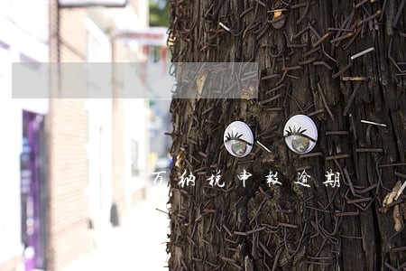 12万纳税申报逾期 12万纳税申报逾期