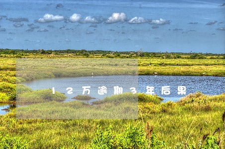 12万逾期3年后果 12万逾期3年后果