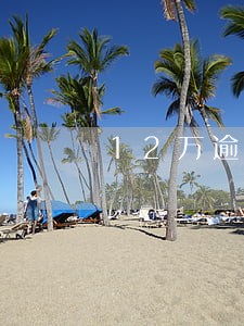 12万逾期每个月利息 12万逾期每个月利息
