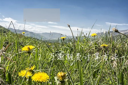 12万逾期费计算方法 12万逾期费计算方法