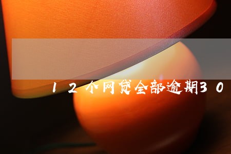 12个网贷全部逾期300天