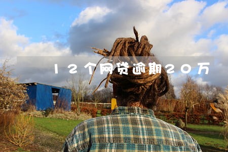 12个网贷逾期20万 12个网贷逾期20万