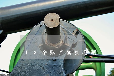 12个账户发生逾期 12个账户发生逾期