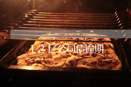 12亿公司债逾期 12亿公司债逾期