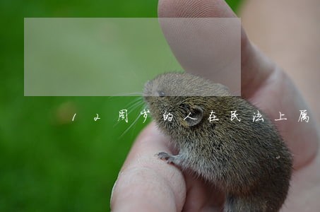 12周岁的人在民法上属于 12周岁的人在民法上属于
