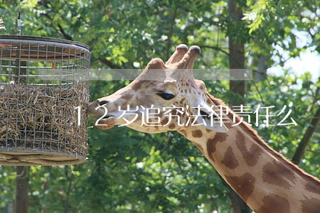 12岁追究法律责任么 12岁追究法律责任么