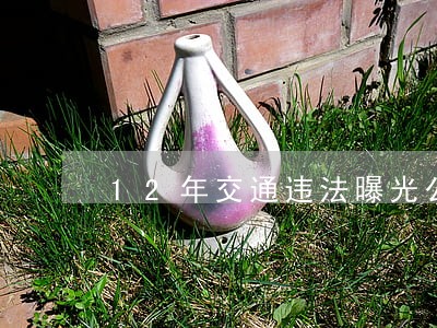 12年交通违法曝光公告第98期 12年交通违法曝光公告第98期
