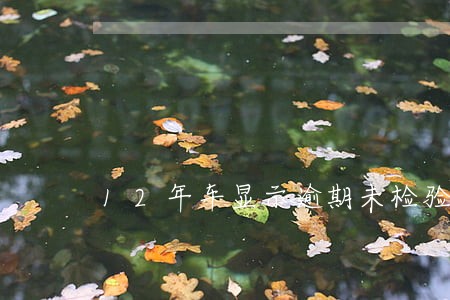12年车显示逾期未检验 12年车显示逾期未检验