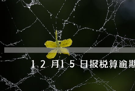 12月15日报税算逾期吗 12月15日报税算逾期吗