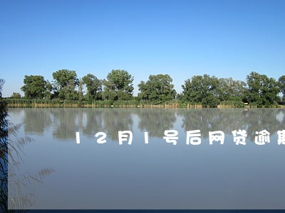 12月1号后网贷逾期的人