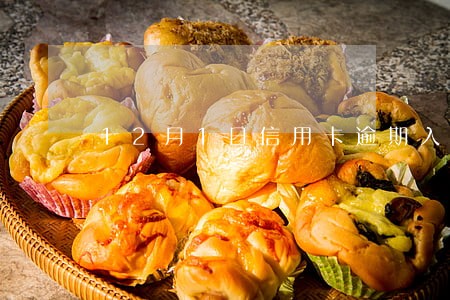 12月1日信用卡逾期入刑 12月1日信用卡逾期入刑