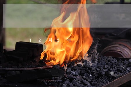 12月5号 12月5号