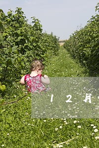 12月份和1月份连续逾期 12月份和1月份连续逾期
