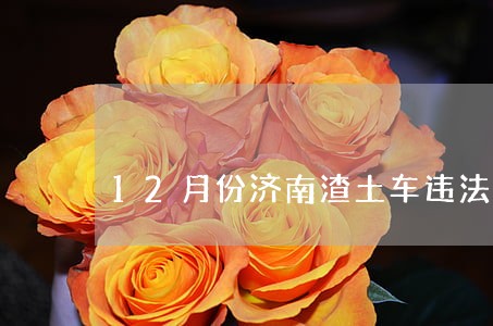 12月份济南渣土车违法
