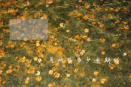 12月网贷多少逾期的 12月网贷多少逾期的