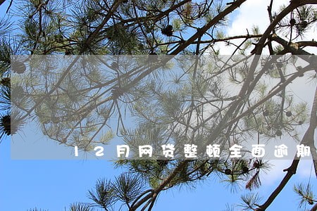 12月网贷整顿全面逾期 12月网贷整顿全面逾期