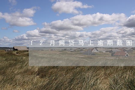 12月网贷马上逾期截图图片