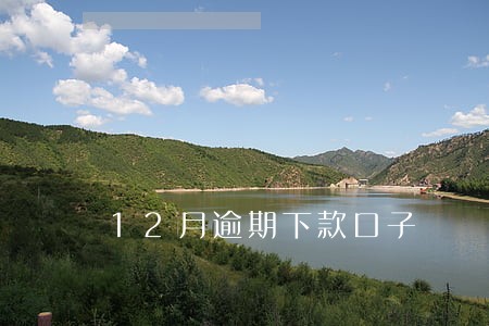 12月逾期下款口子 12月逾期下款口子