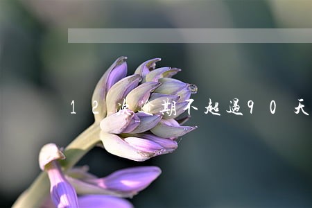 12次逾期不超过90天 12次逾期不超过90天