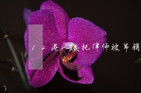 12港人委托律师被吊销 12港人委托律师被吊销