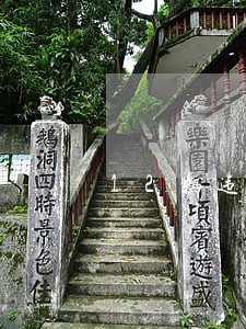 12辆违法客运车辆被查处 12辆违法客运车辆被查处