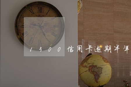 1300信用卡逾期半年