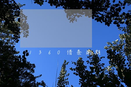 1360借条逾期 1360借条逾期
